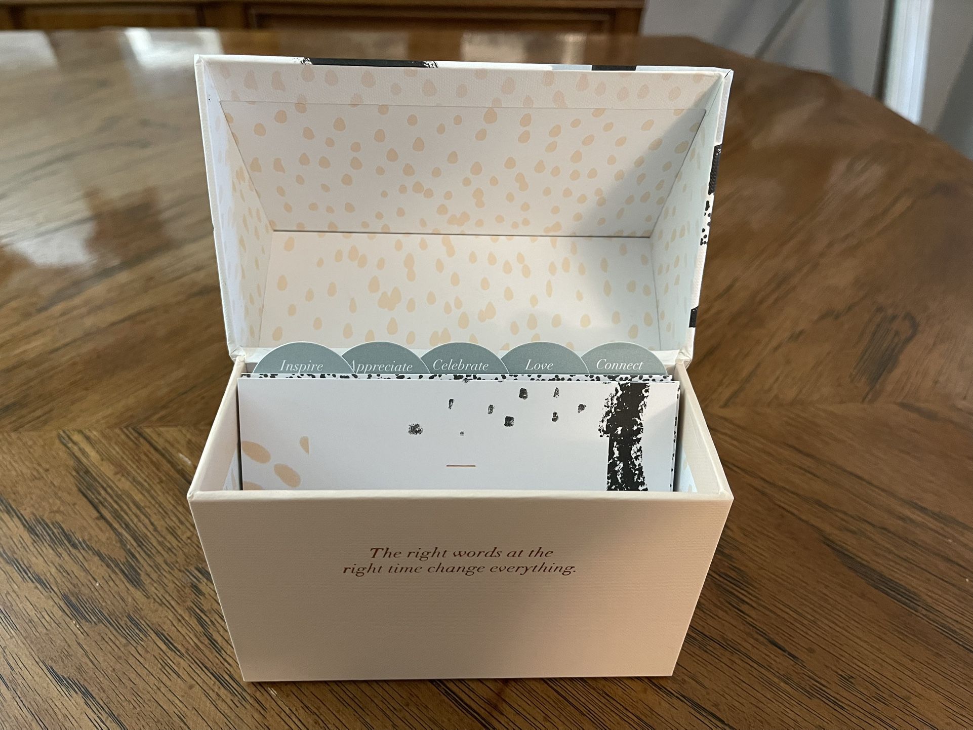 Adorable Card Box with 10 Postcard Type Cards for Sharing and Keeping by Compendium