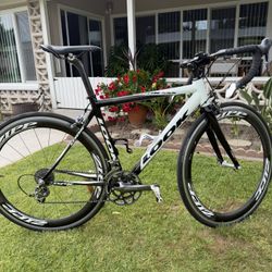 Look 555 (Small) 50-52  