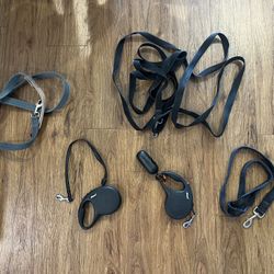 Dog Leashes 