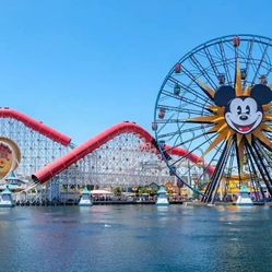 DISNEYLAND 1-DAY PARK HOPPER