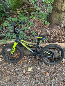 Giant Animator Kid’s Bike