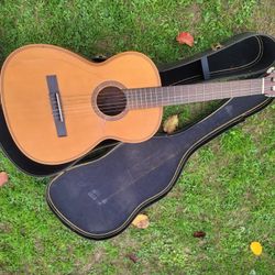 $200 Giannini Awn 20 Classical Guitar, Exotic Tonewood, Concert 3/4 Size