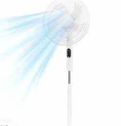 Fan brand new