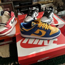 jordan and dunks