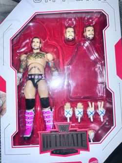 WWE ultimate cm punk