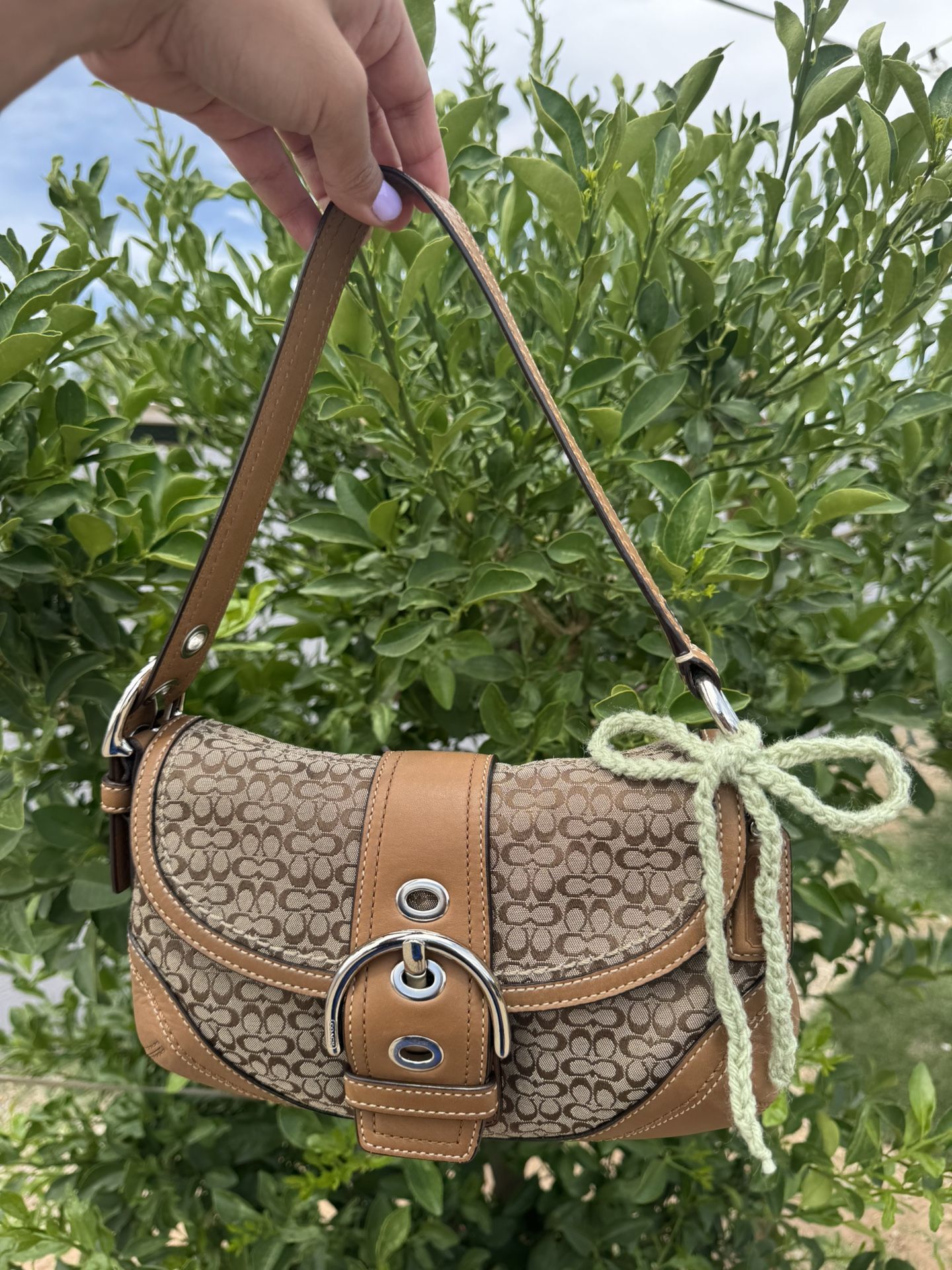Coach Soho Signature Hobo Shoulder Bag