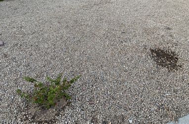 Free front yard rocks