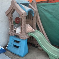 2step Backyard Playground Slide