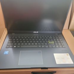 Asus 15.6 Chromebook