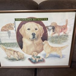 Golden retriever, framed art