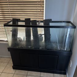 60 Gallon Turtle Tank