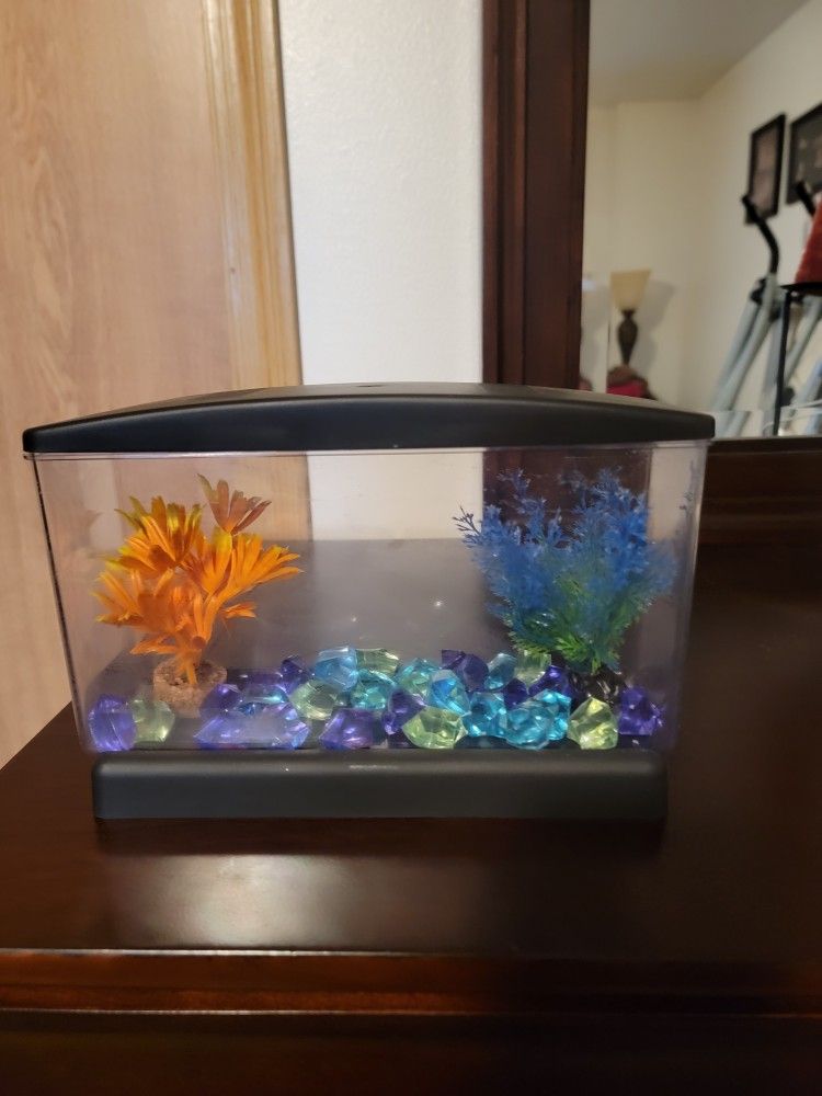 Small 9×3inch Beta Fish Tank with Decor