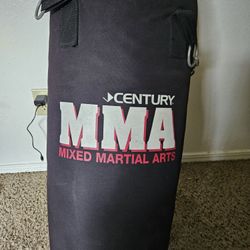 Century MMA Kick/Punch Bag