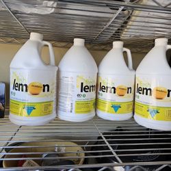 Carpet Cleaning Deoderizers