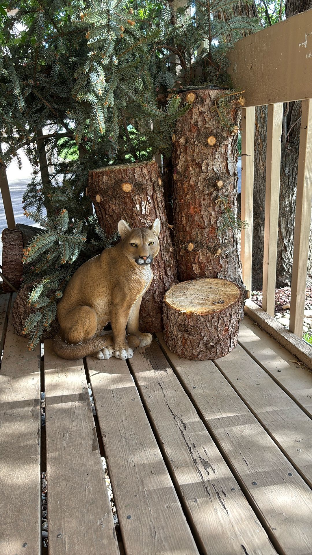 Indoor Collectible Cat Statue
