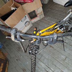 Bike Needs Work
