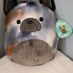 11" Ballis The French Bulldog SQUISHMALLOW NWT