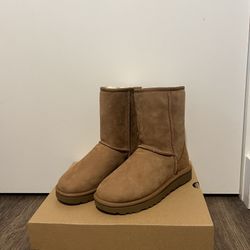 Women's Classic II Short Boots - Chestnut 5