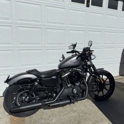 2017 Harley Davidson Iron 883