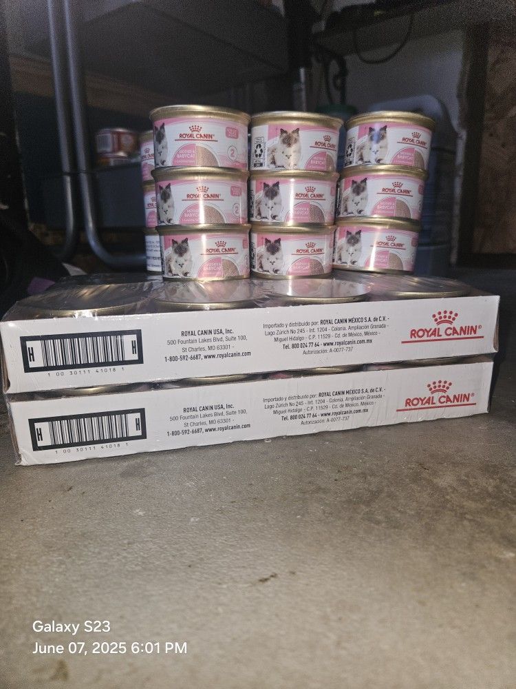Royal Canin Wet Food