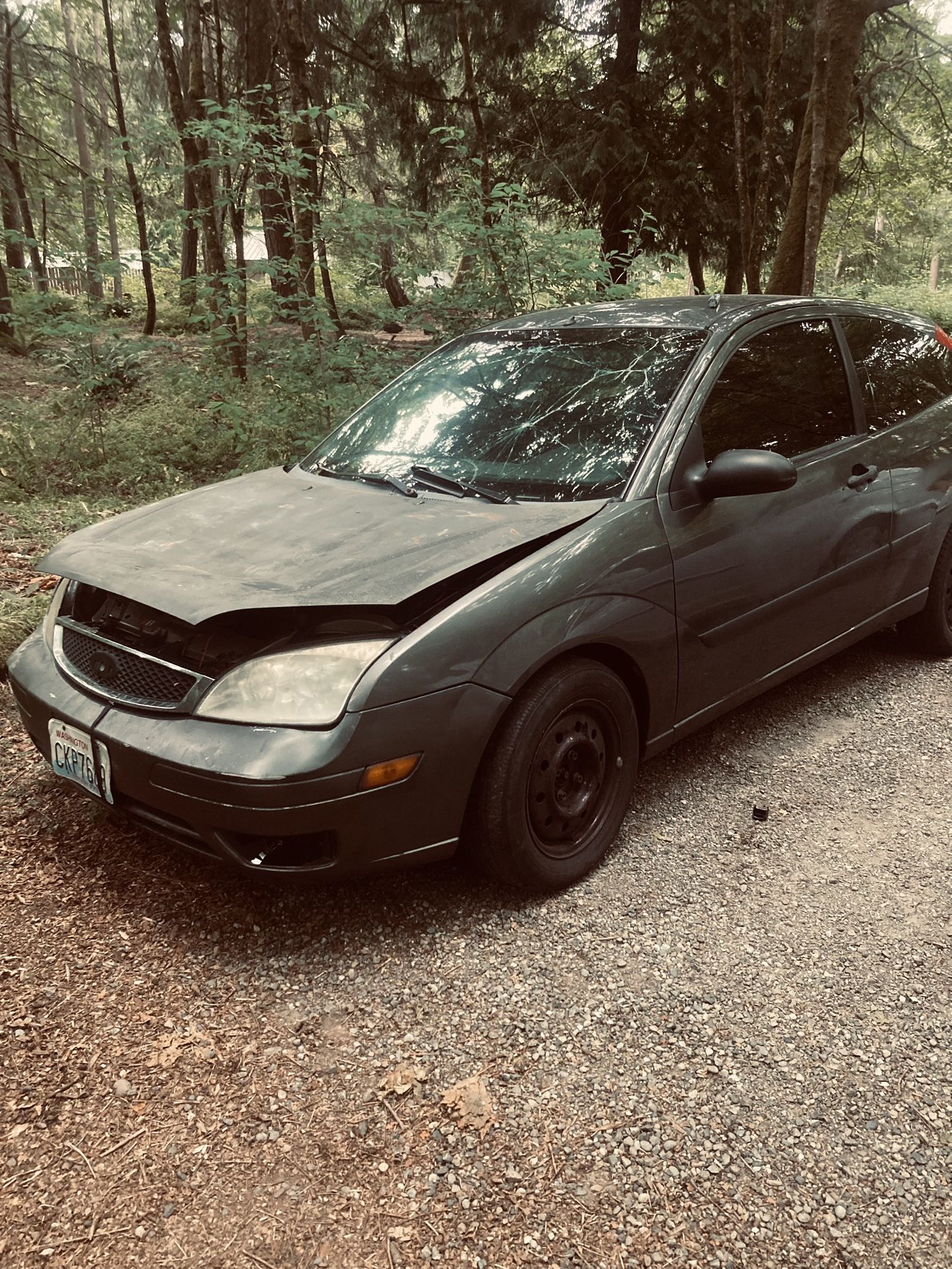 2007 Ford Focus