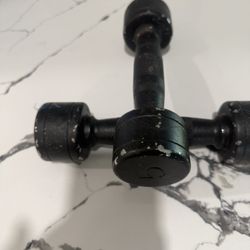 Pair of 5lbs  Dumbbells
