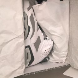 Jordan Retro 6 