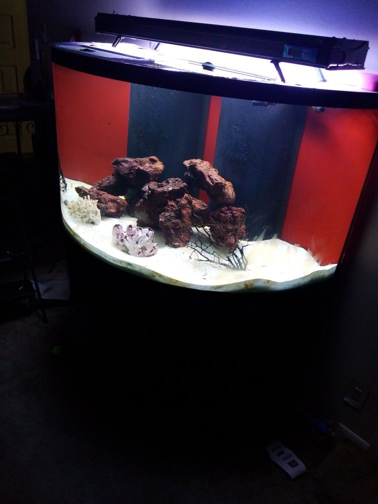 Display Tank 1 /2 Round 150gl aquarium 