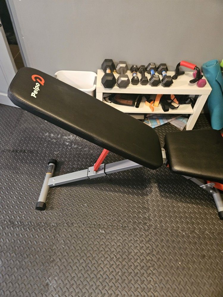 Pelpo Workout Banch
