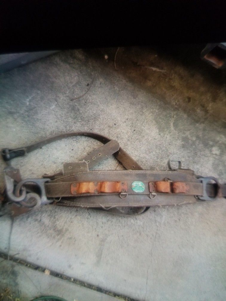 Climbing Belt