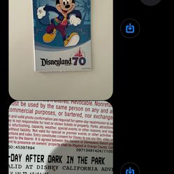 Disneyland Private Event 