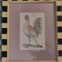 Custom, One Of A Kind Soicher-Marin Fine Art Print - White Game Cock