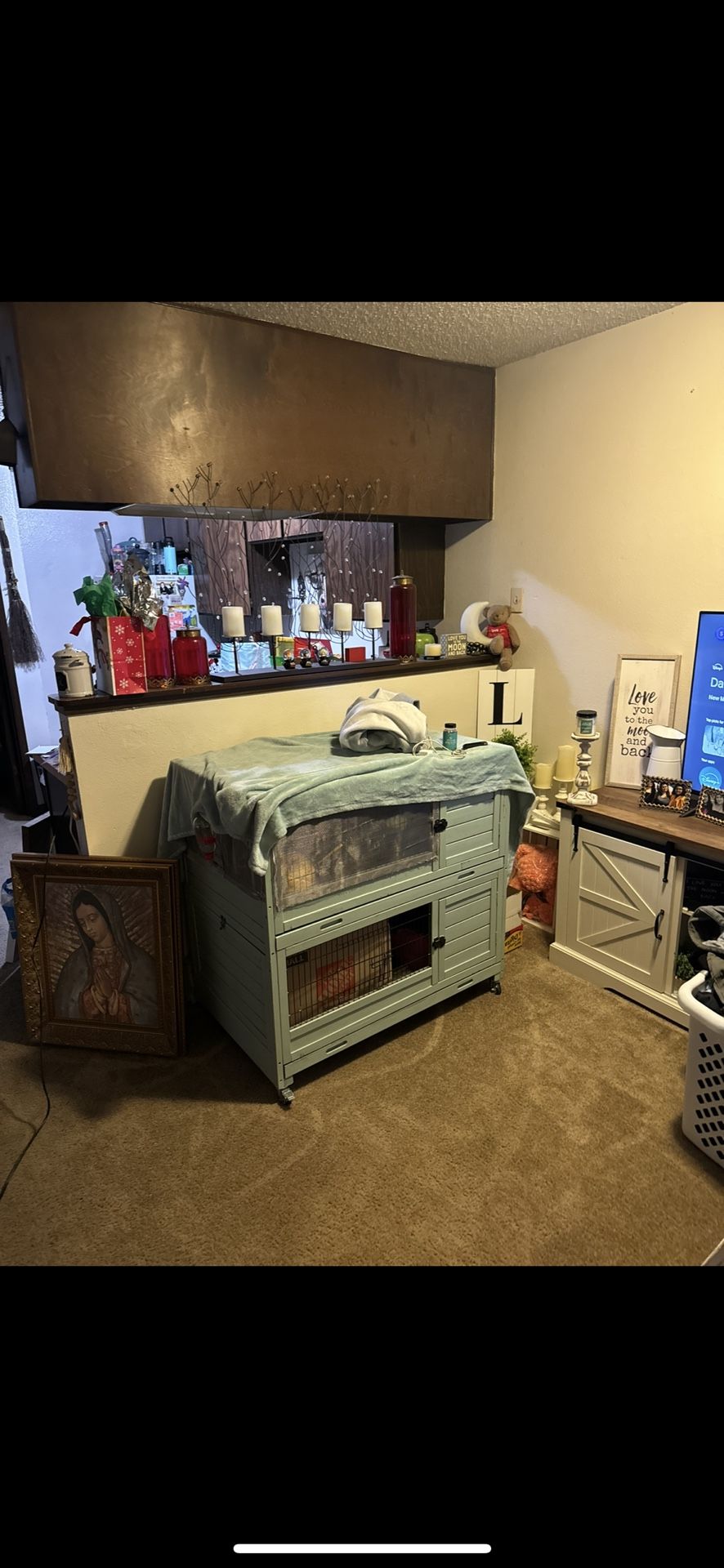 Bunny Cage