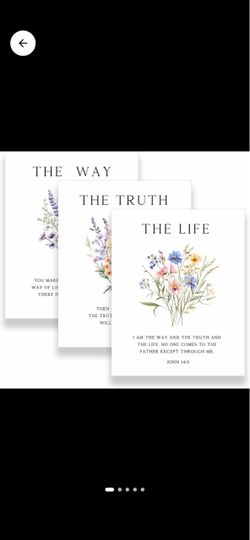 John 14:6 Floral Scripture Print Set