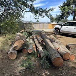 Fresh Cut Fir ….mill or firewood. 