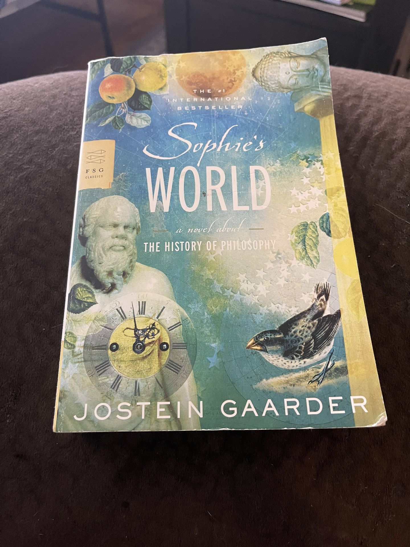 Sophie’s World Book