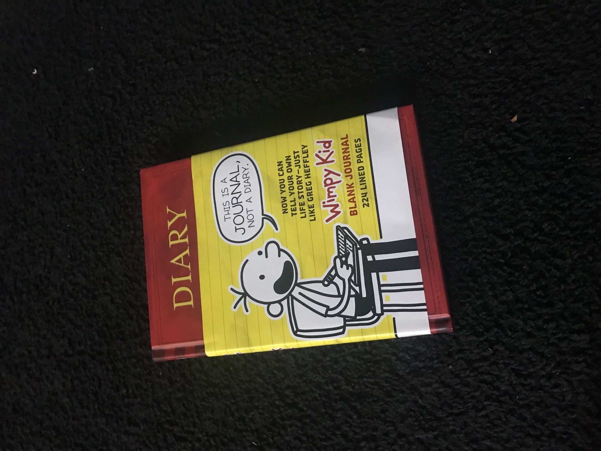 Diary Of A Wimpy Kid Blank Journal Unused