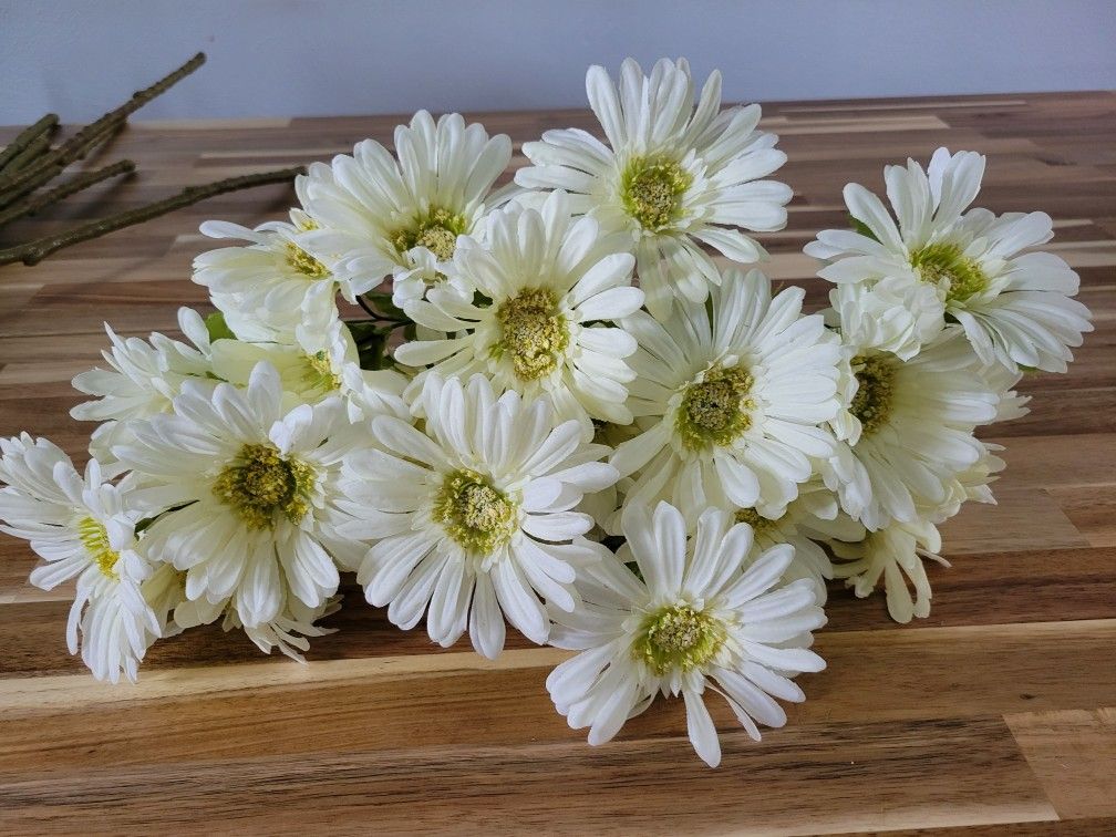 White Sunflower Bunches 