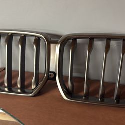 BMW X6 M50I Grill 