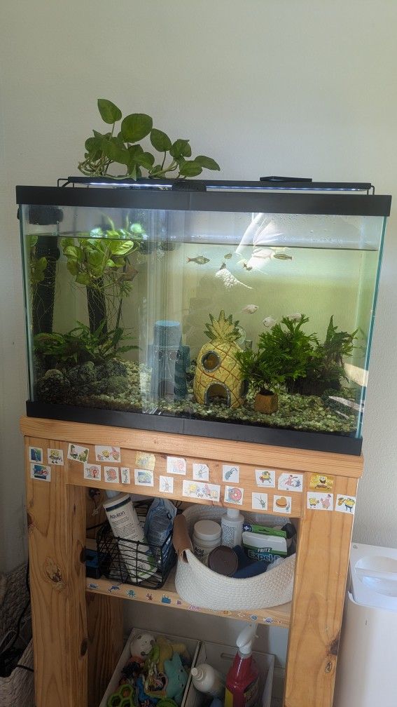 Free Fish Tank And Extras 