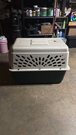 Dog create