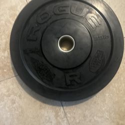 2 35 Pound Rouge Plates 