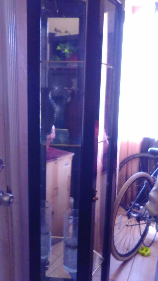 $120 los dos muebles