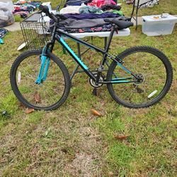 Nishiki Women's Bike