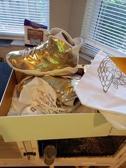 Retro 6 pinnacle size 13 worn 2 times