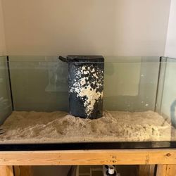 75 Gal Aquarium And Stand 