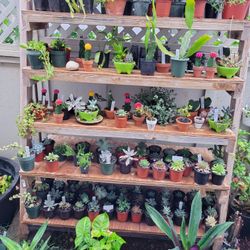 The GIFT that Keeps On GIVING ❤