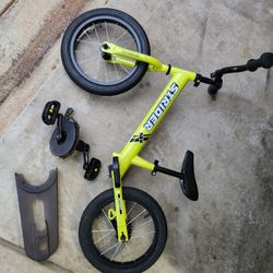 Strider Training Bike