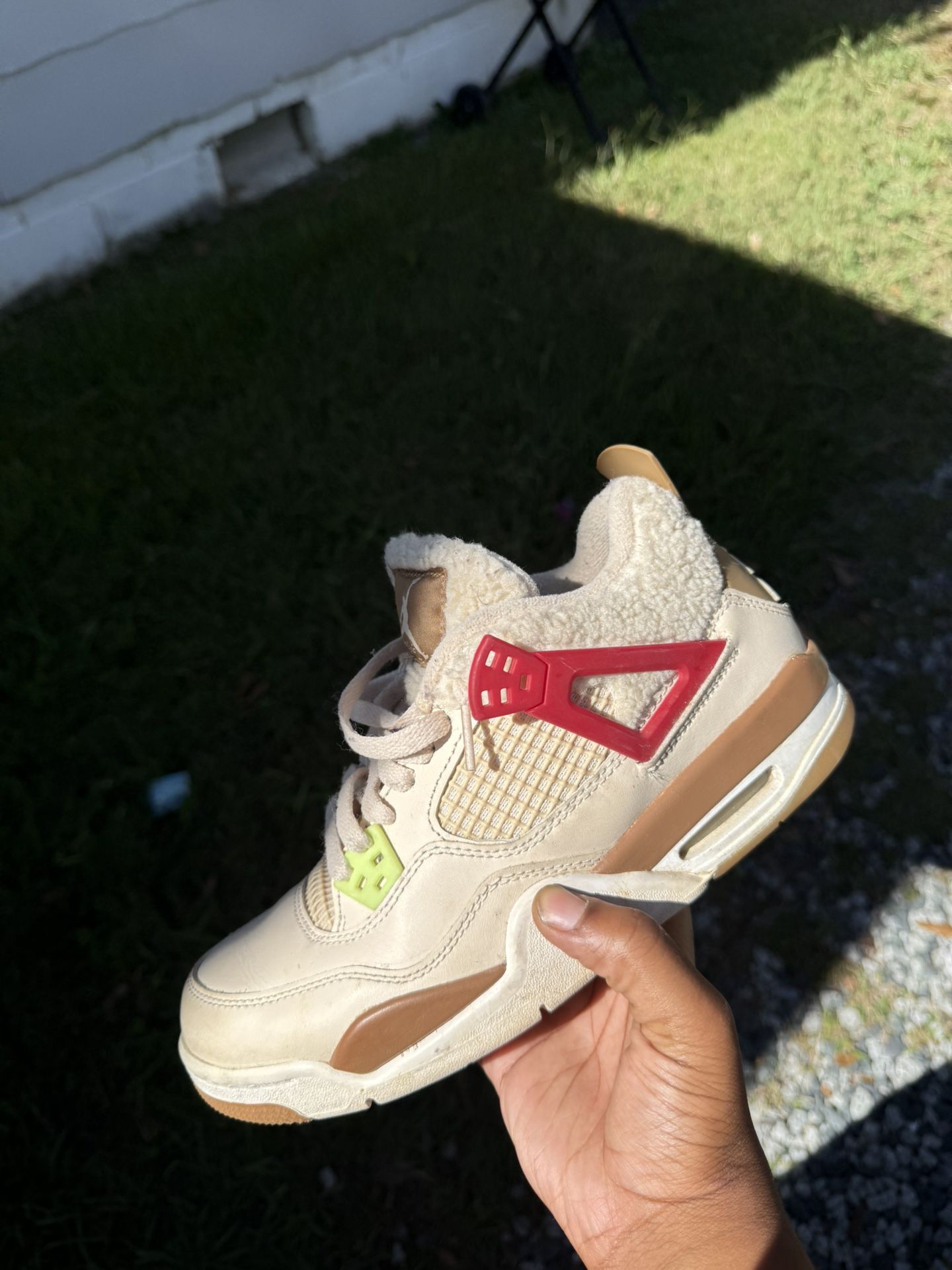 Jordan 4 Wild Things