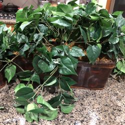 Artificial Ivy Silk Plants